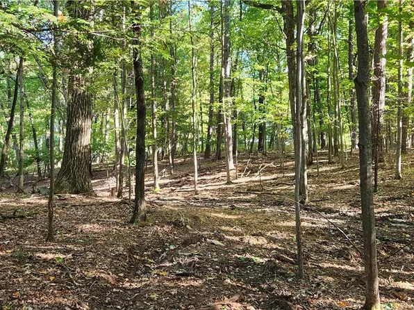Goldfinch Place #5, Paradise Twp, PA 18344