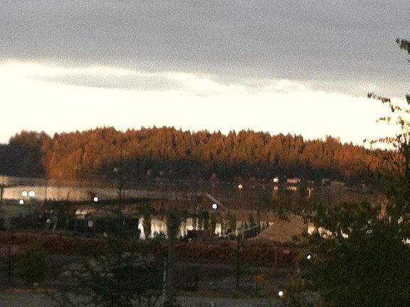 View from porch
