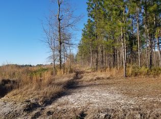 2877 Mount Nebo Rd LOT B, Islandton, SC 29929