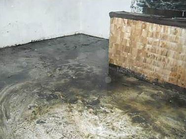 5th image of 15 E Grove Ave