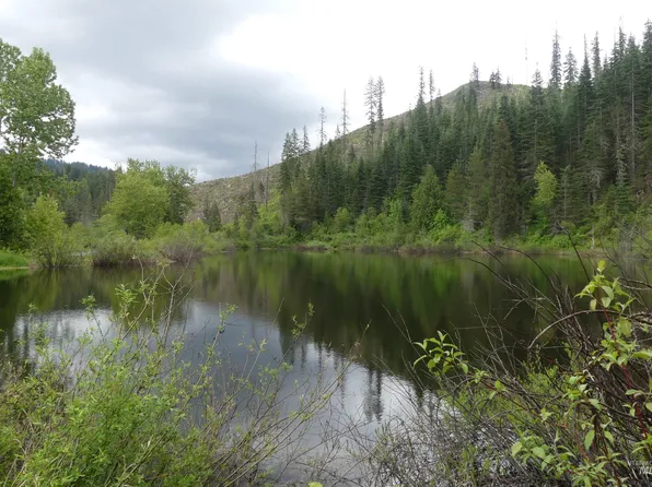 455 French Mountain Rd, Pierce, ID 83546