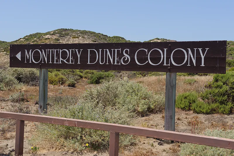 Thumbnail 14