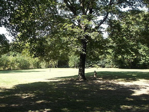 Secluded Yard with Mature Trees