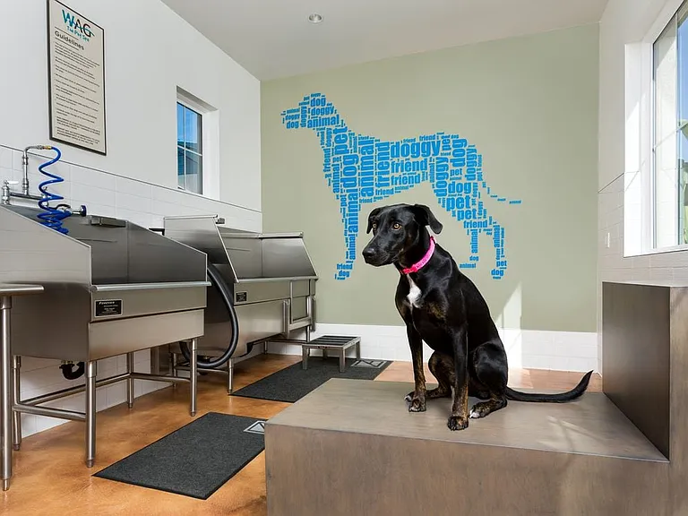 WAG Pet Spa