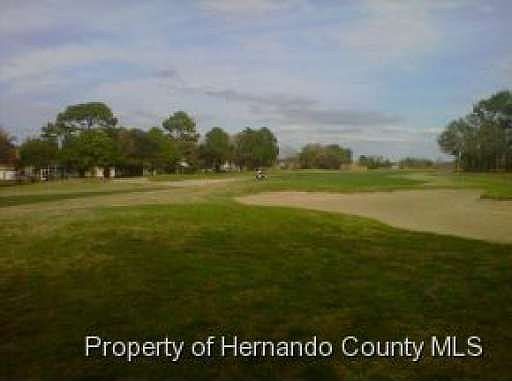 2nd image of 10381 Palmgren Ln