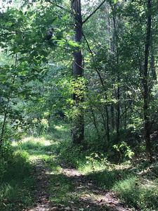 Dirt Dr, Ben Hur, VA, 24218