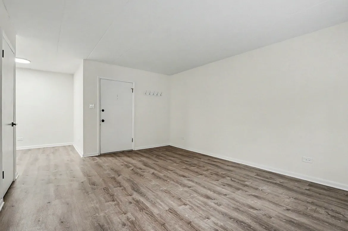 1 bed, 560 sqft, $1,500 — Photo 3