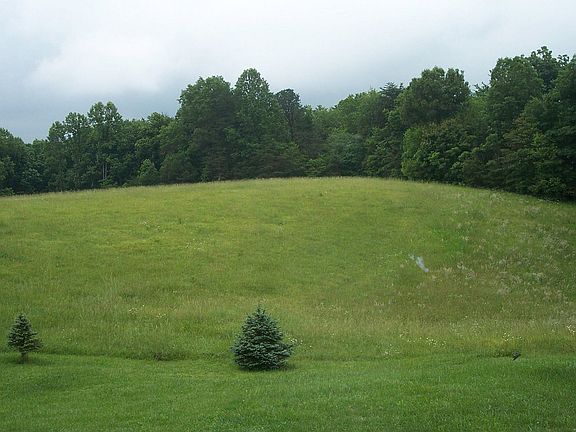 View of Acreage