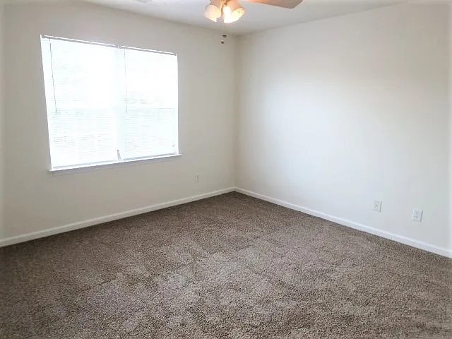 1168 Amber Pines Dr — Photo 6