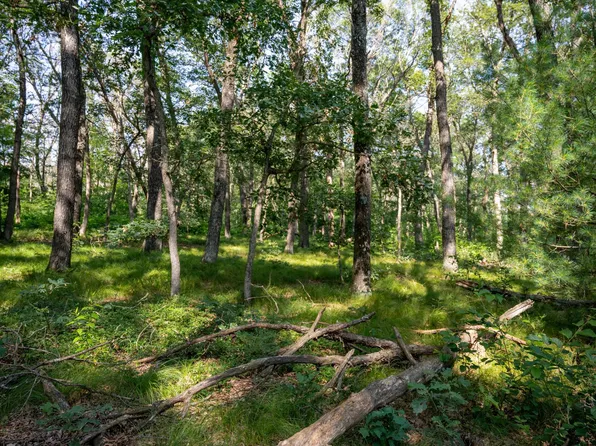 Colleen Dr, Lyndon Station, WI 53944