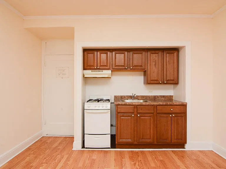 3335 W Diversey Ave #532 — Photo 2