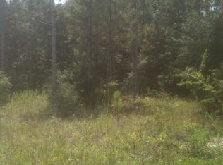 Alloy Street, webster, FL 33597
