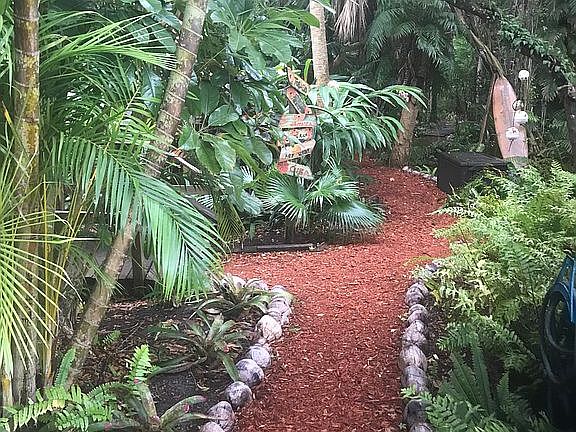 Tropical Paradise Backyard 