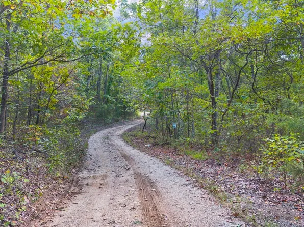 80/ACRE S Proctor Ln, Gravois Mills, MO 65037