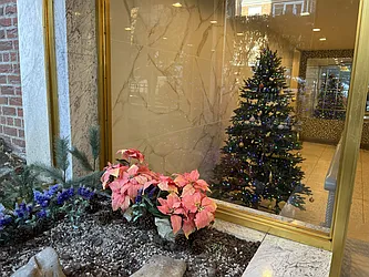 65-04 Booth Street, #4