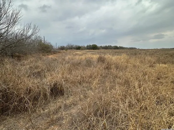 000 E Fm 462 LOT 1, Moore, TX 78057