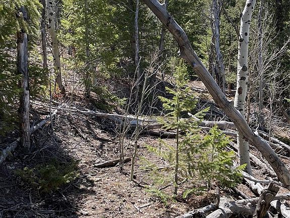 4th image of 301 Miners Road