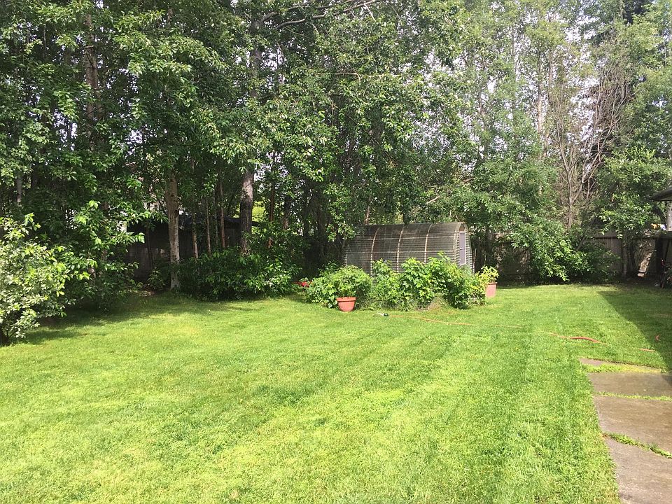 Back yard