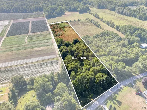 Brant Reserv Rd Lot 16, Brant, NY 14027