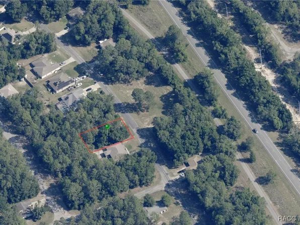 9728 N Sandree Dr, Citrus Springs, FL 34434