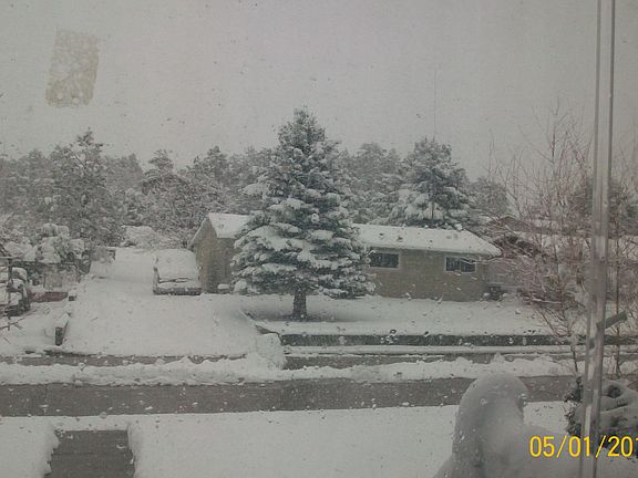 View out the front door