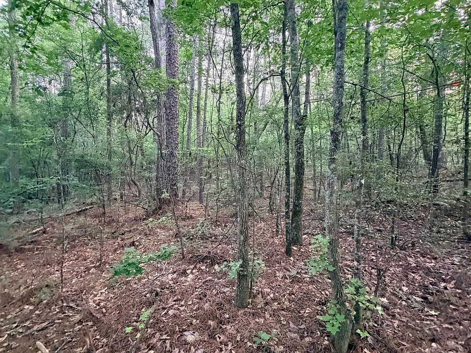 1st image of 0 Highway 55 Lot 2