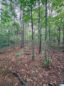 0 Highway 55 Lot 2, Sterrett, AL, 35147