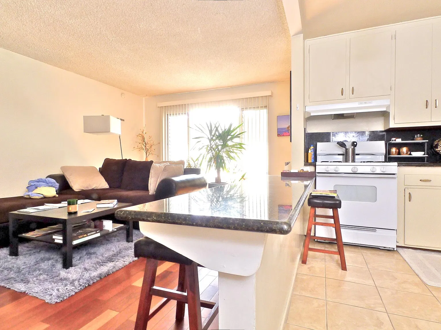 1 bed, 700 sqft, $2,540 — Photo 4