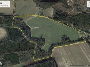 1108 Mike Brannen Rd, Register, GA 30452