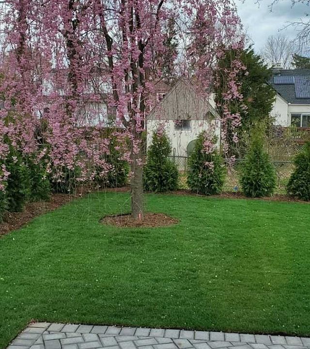 2nd image of 149 Columbus Dr