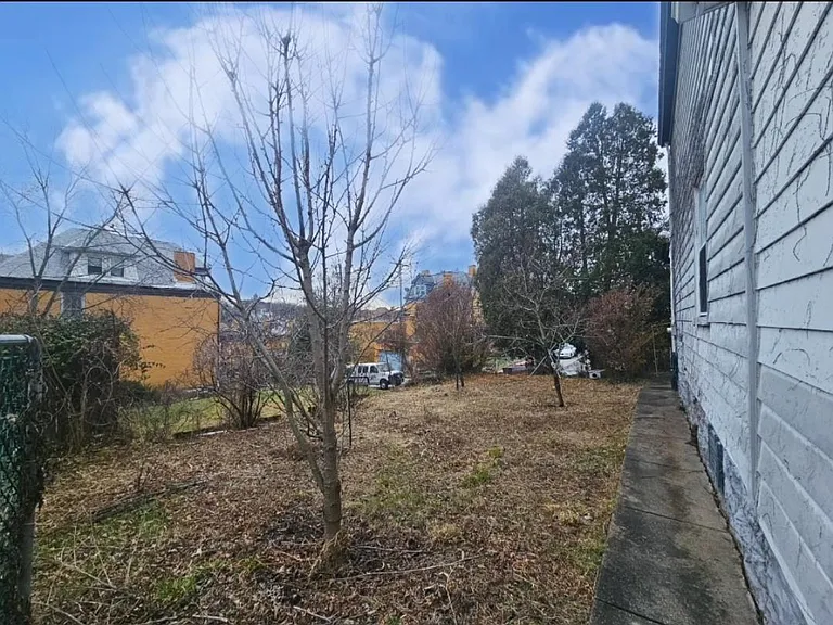 Fruit trees