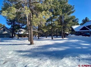 98 Teakwood Dr, Pagosa Springs, CO 81147