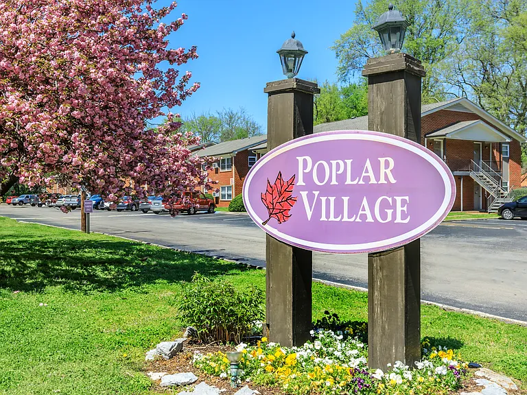 Poplar Village — Photo 30