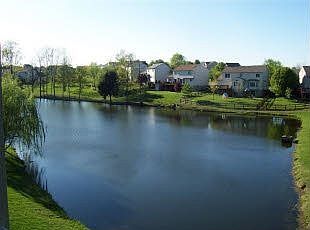 Lakefront View
