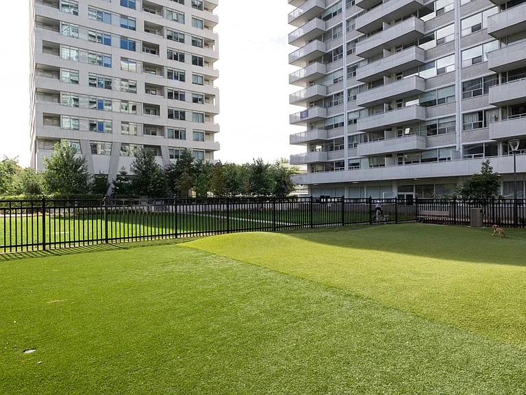 44 Lillian St — Photo 27