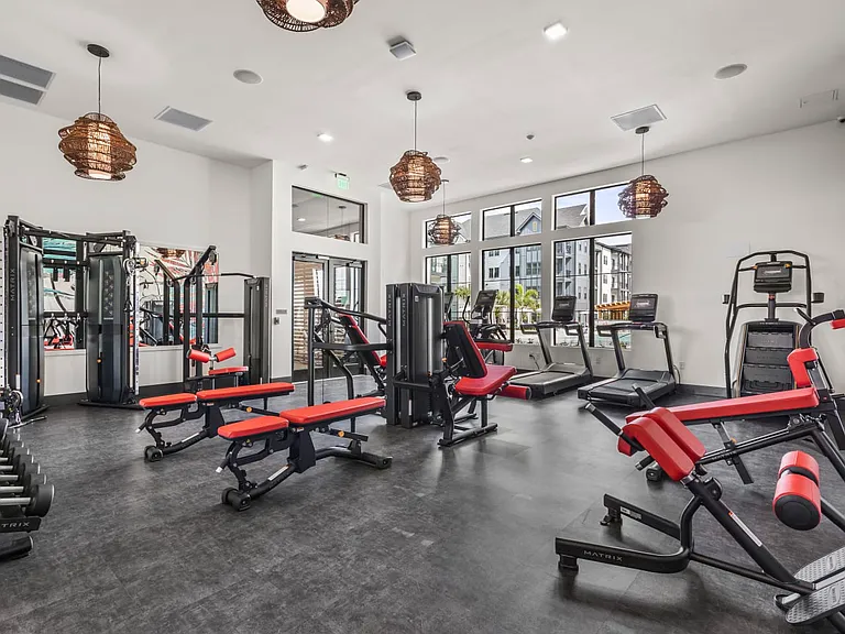 Azalea Luxury Apartments — Photo 49