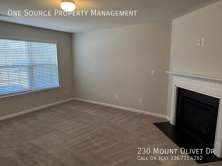 230 Mount Olivet Dr — Photo 4