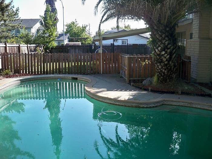 Backyard, Pool