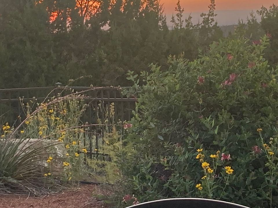 Back Patio View