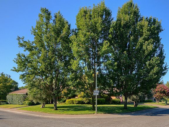 3rd image of 451 Estates Dr