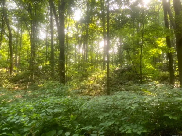 6716 Main Street, Trumbull, CT 06611