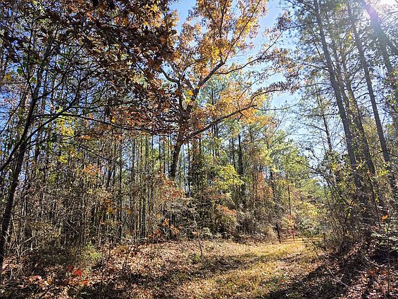 2nd image of 1 County Road 23 #130