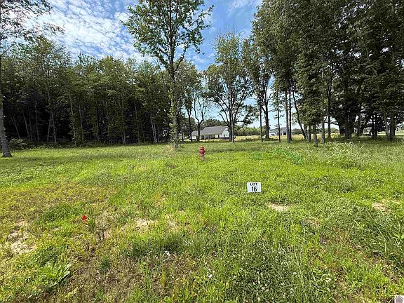 3rd image of 16 Ellie Ct