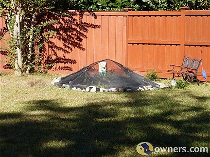Backyard view of fish pond and privacy fence