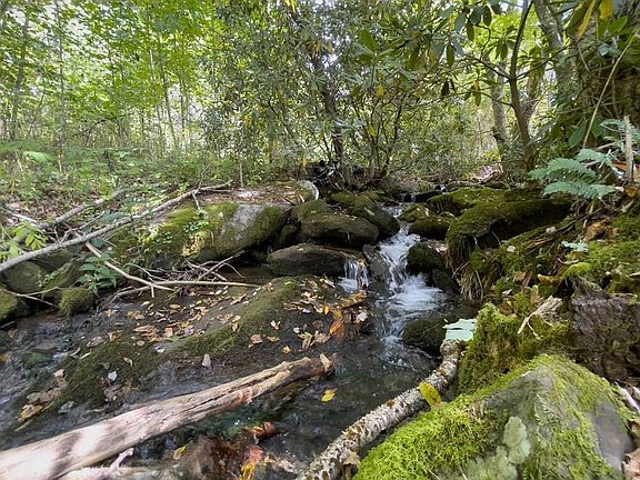 63rd image of 3956 Franks Creek Rd