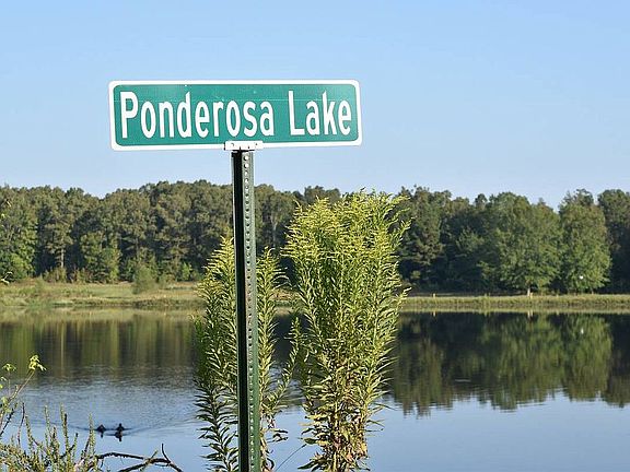 2nd image of 1215 Ponderosa Trl