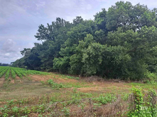 12245 Henderson Camp Rd, Grand Bay, AL 36541