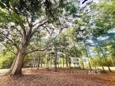 0 Newman Rd #11, Mobile, AL, 36695
