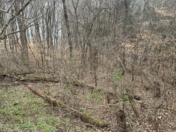 0 Lakeside Dr Lot 109110, Smithville, TN 37166