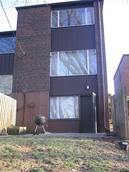 Back view